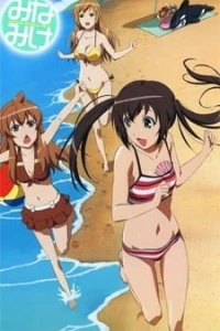 Аниме  Сестры Минами OVA-3 (2013)  постер
